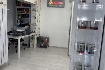 Casa de vanzare vis-a-vis de Parc Bazilescu, Bucurestii Noi - 15