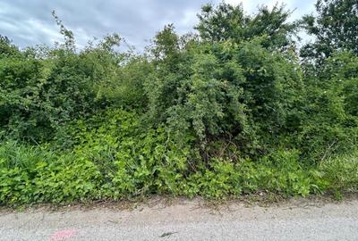Teren Construcții intravilan de 1500 mp, în Băneasa - 2