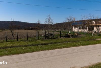 Teren de 2970 mp, în Mașloc - 13
