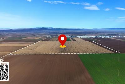 Teren 32,5 Ha compact Prejmer, Brasov. Imagini drona,tur/360 - 3