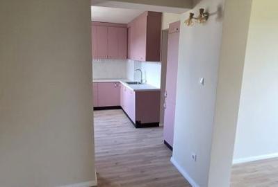 Apartament cu 3 camere decomandat în Burdea - 1