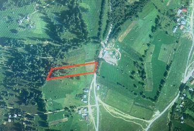 Teren de 4806 mp, în Dealu Negru - 1