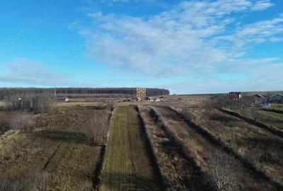 Teren de 2460 mp, în Burdujeni - 5