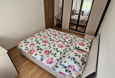 Apartament cu 2 camere semidecomandat în Micălaca - 7