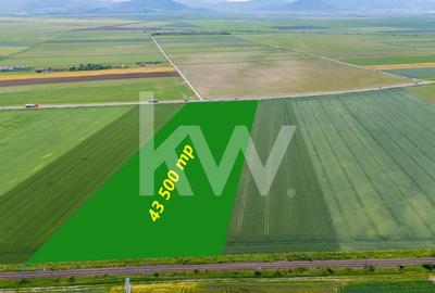 Teren de vanzare I 8 Euro/ mp I Deschidere la drum - Harman - 4