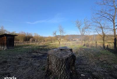 Casă cu 4 camere cu Teren 1887 Mp în Burjuc - 1
