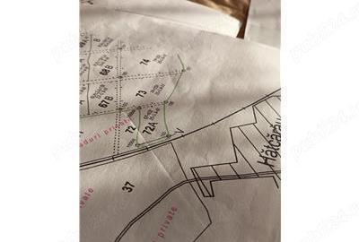 Padure de vanzare zona Comuna Draganesti sat Hatcarau - 2