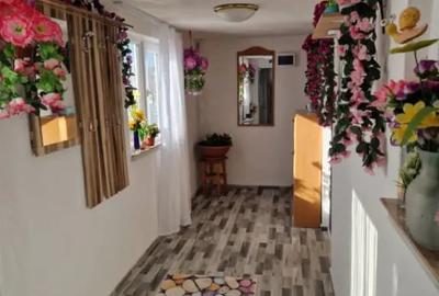 Casă cu 2 camere cu Teren 1686 Mp în Central - 18