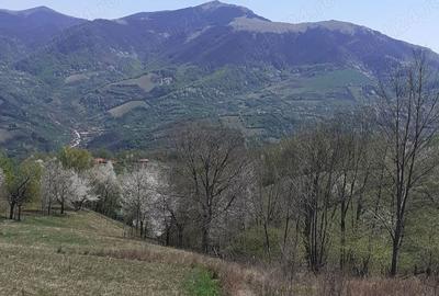 Teren în Cornereva - 7