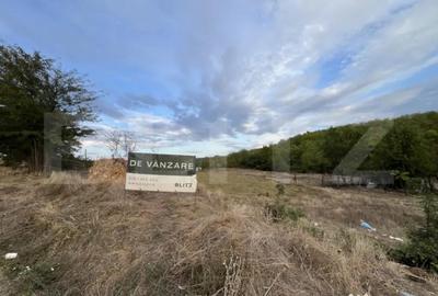 Teren de 1000 mp, în Central - 4