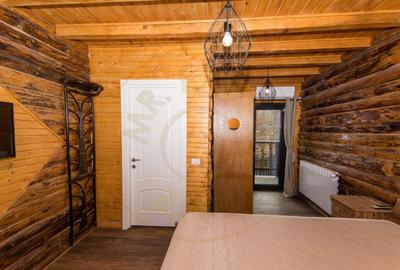 Casa de vacanta sau afacere la cheie in Loc. Nucsoara, jud. - 13