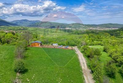Teren Construcții intravilan de 1000 mp, în Tohănița - 3