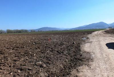 Teren Extravilan - Pretabil Investitie Teren Extravilan - Pretabil Investitie - 5