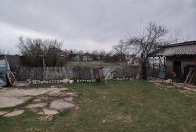Casă cu Teren 3000 Mp în Mircea Vodă - 5