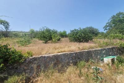 Teren de 1200 mp, în Mahmudia - 6