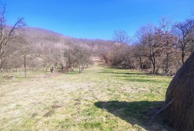 Casă cu 4 camere în Bârsana - 4