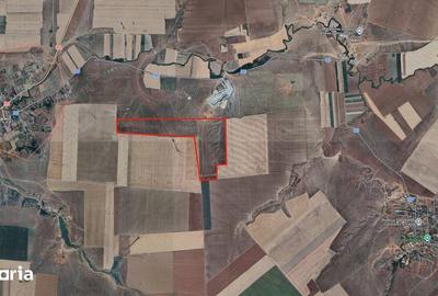 Teren de 590000 mp, în Saraiu - 4