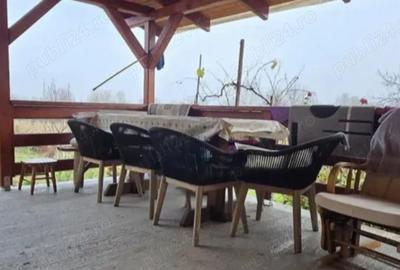 Casă cu 3 camere în Mica - 2