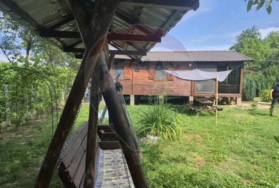 Casă cu 3 camere cu Teren 1268 Mp în Săpânța - 18