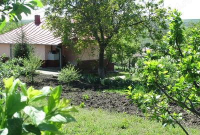 Vanzare Casa Fartanesti Galati - 5