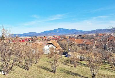 Teren de 17000 mp, în Central - 2