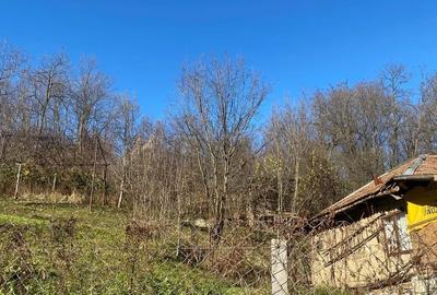 Casă în Bertea - 2
