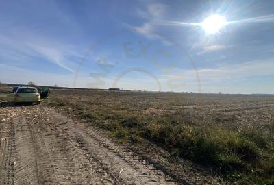 Teren 600 mp intravilan Albota, jud. Arges - 4