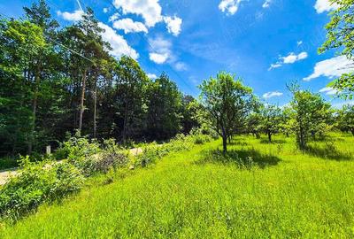 Teren intravilan Cotmeana Arges - 6