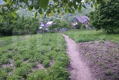 Casă cu 4 camere cu Teren 1200 Mp în Central - 3