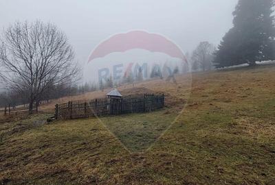 Teren intravilan 26232m.p. Dorna-Arini / Cozane?ti - 3