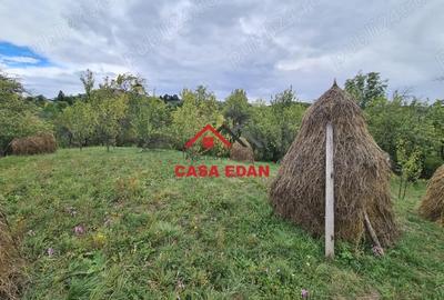 Casă cu Teren 1671 Mp în Șotrile - 12