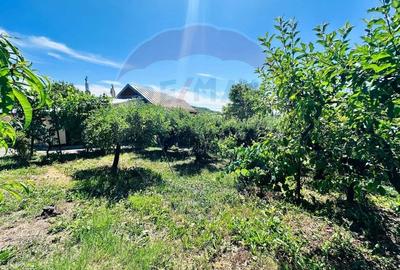 Casa cu Toate Utilitatile,Vedere Panoramica,Livada-Stefanesti, Arges - 33