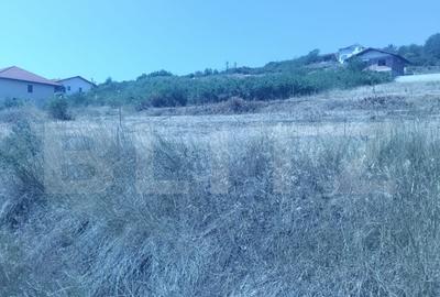 Teren 1000 mp, utilita?i + autoriza?ie Schit - 2