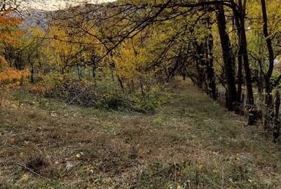 Teren de 1600 mp, în Brebu - 3