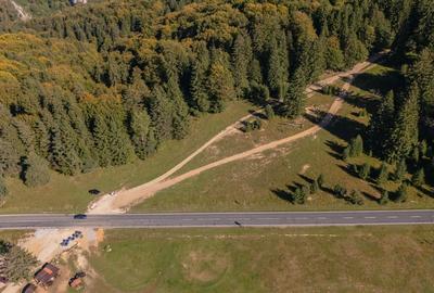 Teren Construcții intravilan de 10440 mp, în Drumul Poienii - 8