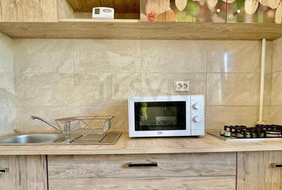 Apartament cu 2 camere semidecomandat, mobilat în Mihai Bravu - 5