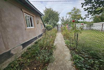 Casă cu Teren 2800 Mp în Bolotești - 7
