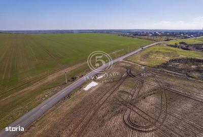 Teren de 80000 mp, în Vasilați - 7