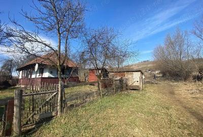 Teren de 5400 mp, în Cămărașu