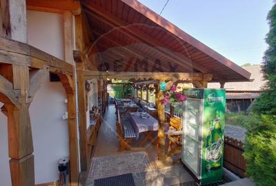 Hotel/Pensiune, de 384 mp, în Breb - 9