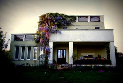 Casă cu 6 camere cu Teren 4400 Mp în Florești - 9