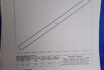 Teren agricol extravilan de 11900 mp, în Nord - 9