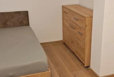 Ofer spre inchiriere - 5