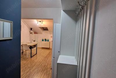 Apartament cu 2 camere decomandat în Terezian - 2