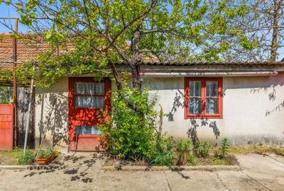 Casă cu 4 camere cu Teren 1007 Mp în Horia - 1