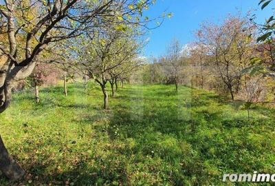 Casă cu 5 camere cu Teren 1000 Mp în Central - 1