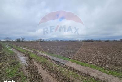 Spațiu comercial, în Adunații-Copăceni - 6