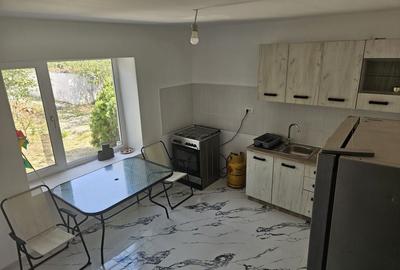 Casa Beregsaul mic+teren 1550 mp - 13