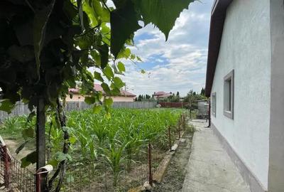 Casă cu 4 camere cu Teren 1800 Mp în Merei - 9