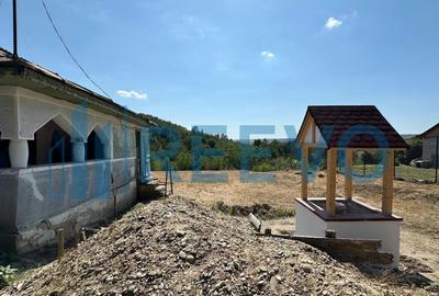 Casă individuală cu 2 camere cu Teren 1425 Mp în Parincea - 3